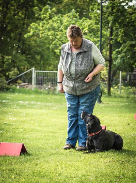 Rally Obedience